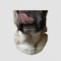 Scaldacollo Teschi & Facce - Pug - FINE SERIE