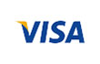 Payments logo Visa